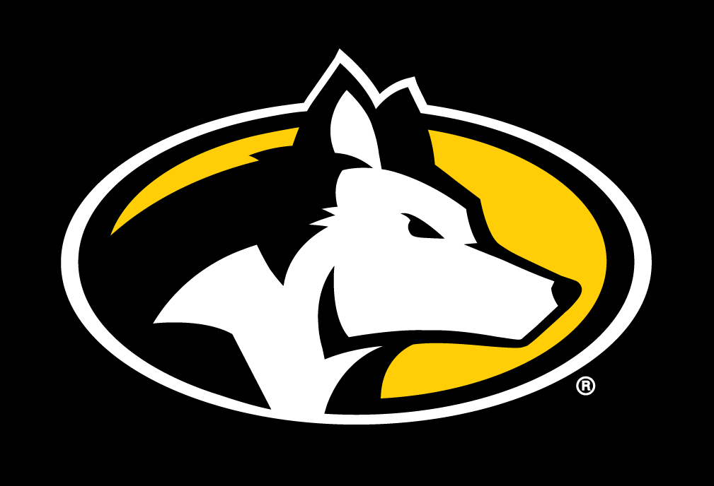 Michigan Tech Huskies 2016-Pres Partial Logo v2 diy iron on heat transfer